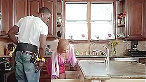 Fucking the Plumber