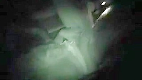 Dogging curvy wife sucks strangers cock night cam