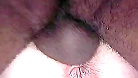 Cumslut annie taking bbc to get pregnant