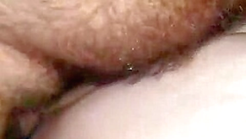 Exotic adult movie