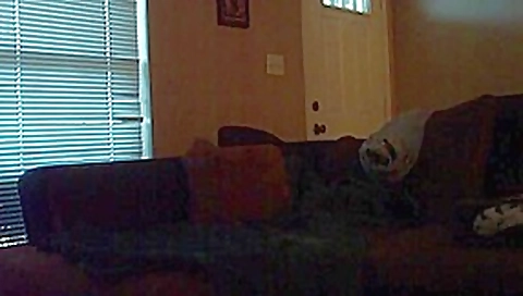 Horny Interracial, Blowjob xxx movie