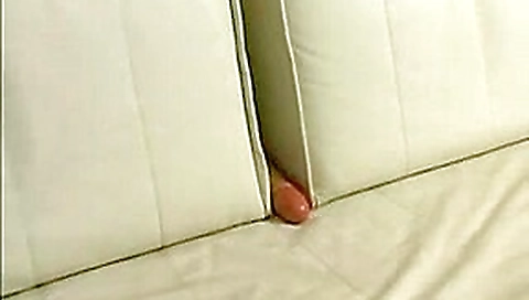 Bisexual Hardcore